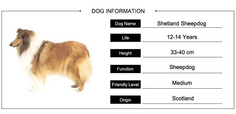 Модные брелки в форме большой собаки, женские брелки для ключей Shetland Sheepdog