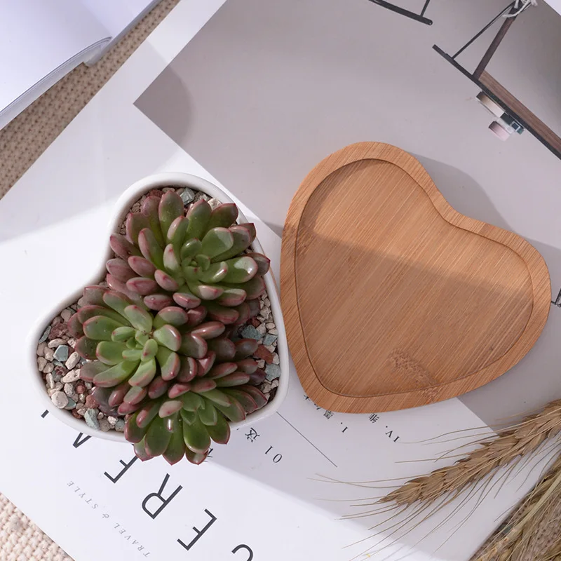 2 шт. горшков для суккулентов из белой керамики в форме сердец с подставками для декорирования дома (2 горшка + 2 подставки)