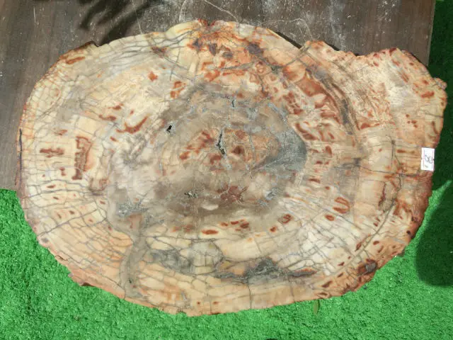 5100 г (11 фунтов) природные окаменелое дерево Fossil Кристалл образца Мадагаскар NTA077 |