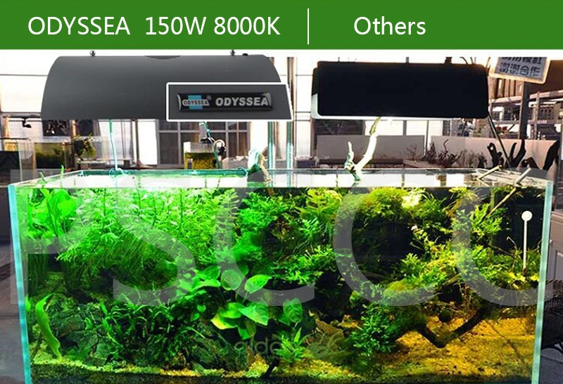 150 Вт 6500 к 8000 к 10000 к 12000 к 20000 к Odyssea ADV 150 Металлогалогенная лампа завод коралловых кои аквариумных ламп