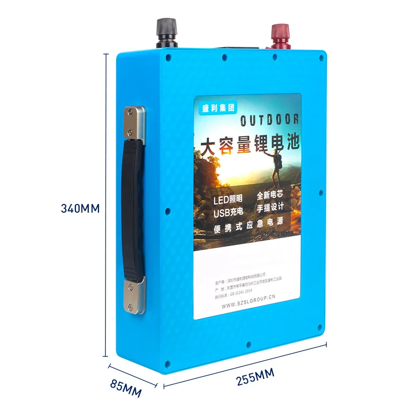12v 60ah портативный LiFePo4 батарея литий железо фосфат аккумулятор с USB BMS доска +
