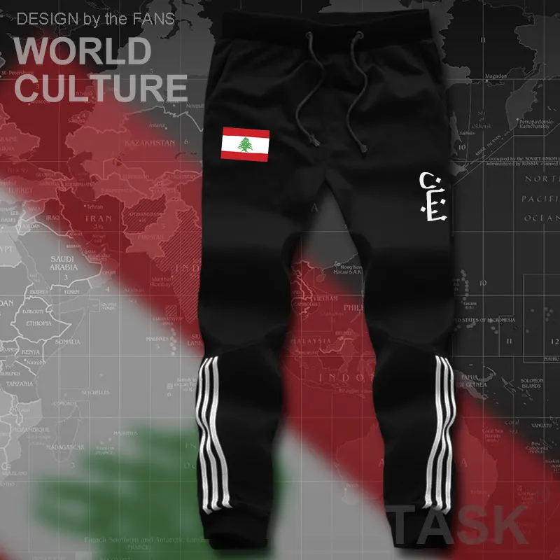 Мужские пляжные шорты Lebanon мужские для тренировок с флагом на молнии карманами
