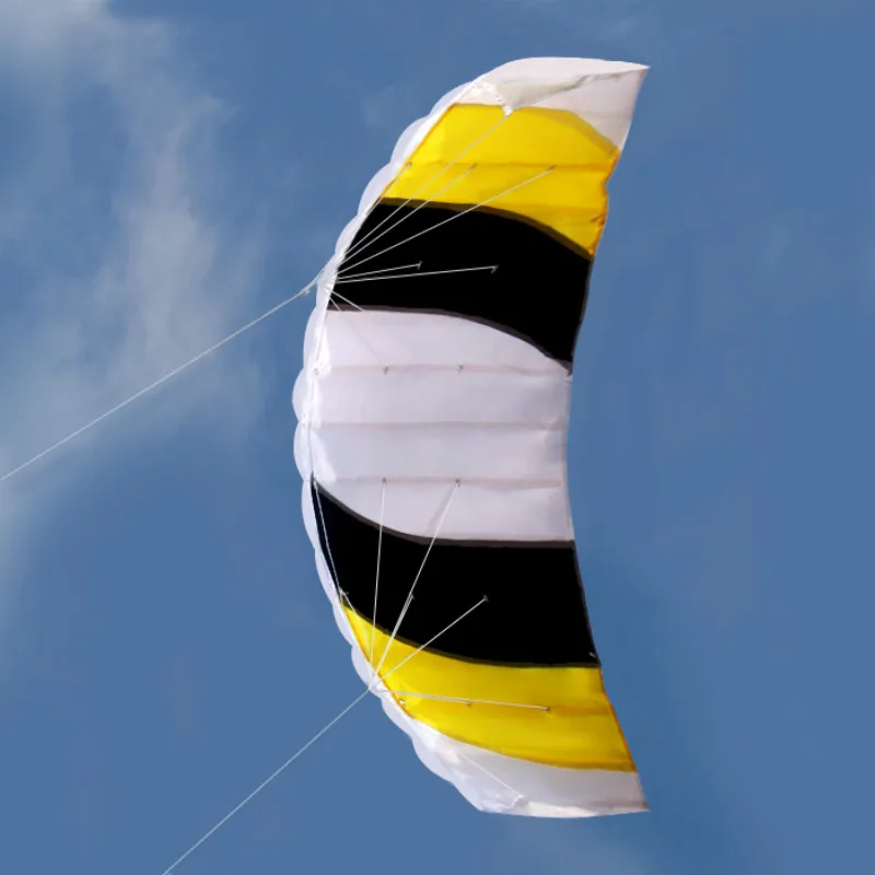 

High Quality Power Dual Line Stunt Parafoil Parachute Beach Kite For Beginner Outdoor For Fun Gift