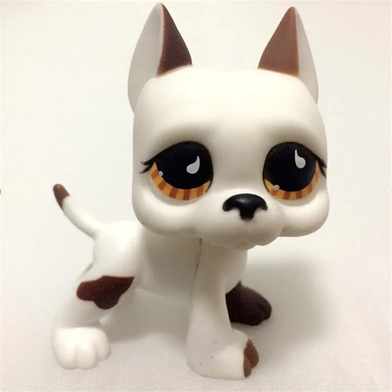 LP Pet Shop cat #1519 хороший подарок для детей Бесплатная доставка|lps pet shop|pet shoplps free shipping |
