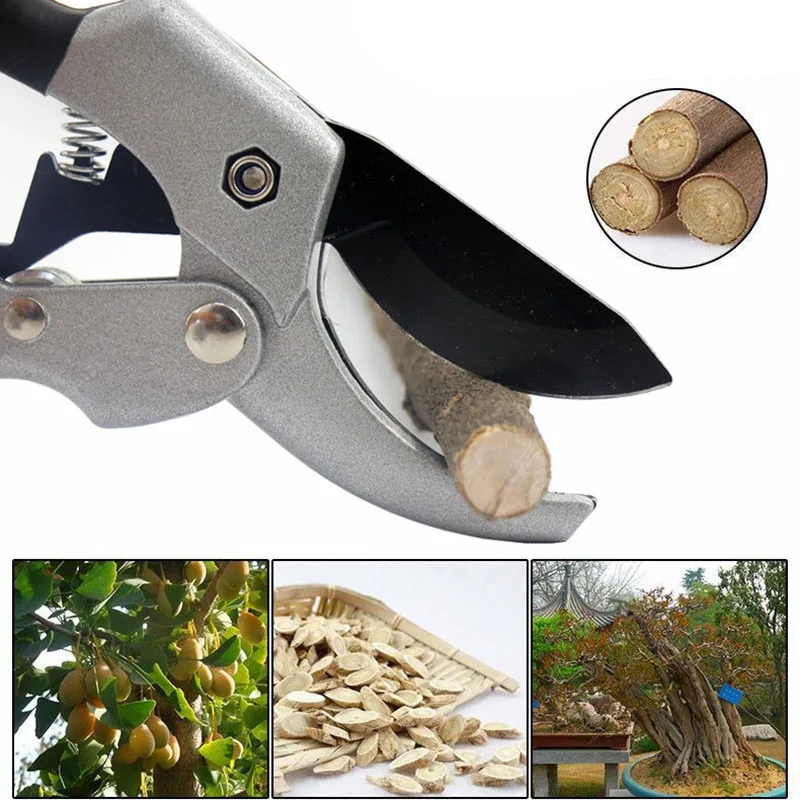 Садовые инструменты 20 см трещотка растительная отделка Садоводство ручной