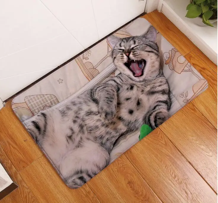 3D Kawaii Cat Печать Коврики для пола и ковры для дома гостиная спальня коврик для кухонь, ванных противоскользящие мягкие HM0624