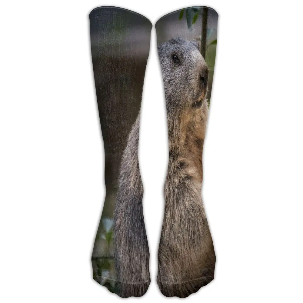 SAMCUSTOM Fashion Knee Socks Women Cotton High Over The Stockings For Ladies cute Marmota 3D Printing Long Stocking | Женская одежда