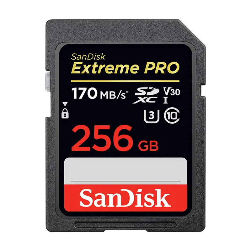 SD-170M-256GB Карта памяти SD SanDisk 64 Гб 128 ГБ 256 ГБ карта камеры SDXC 16 ГБ 32 ГБ SDHC SLR карта USH-I класс 10 для цифровой записи 4K Full HD - Емкость: SD-170M-256GB