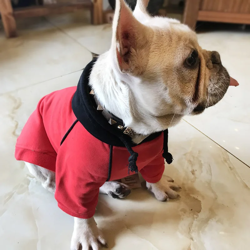 Хлопковая толстовка с капюшоном в виде французского бульдога одежда для