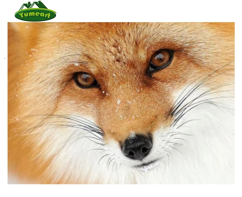 YUMEART Алмазная вышивка Лиса сделай сам мозаика покрытая холстом квадратная
