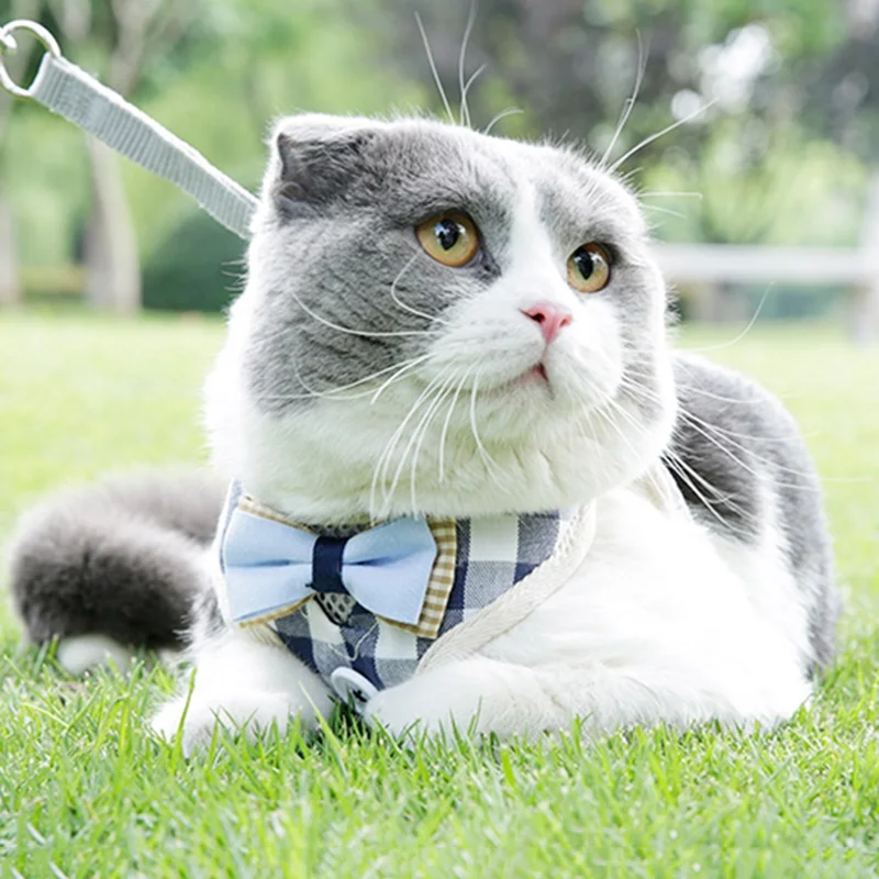 Новинка нагрудный ремень для кошек котят с боутом регулируемые ошейники собак