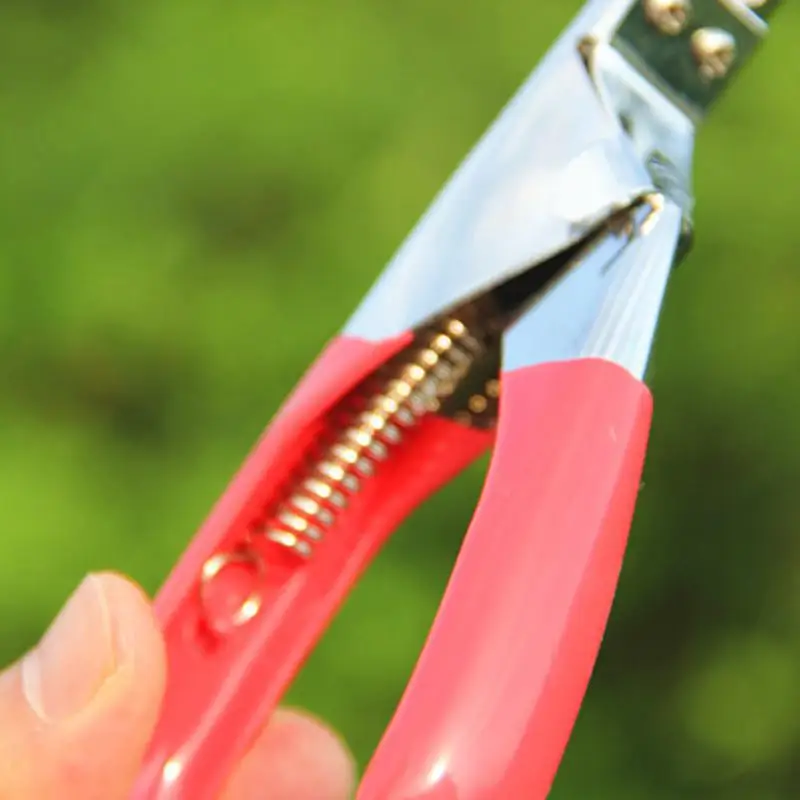 Новый кота собаки любимчика кусачки для ногтей животных Toe коготь Ножницы