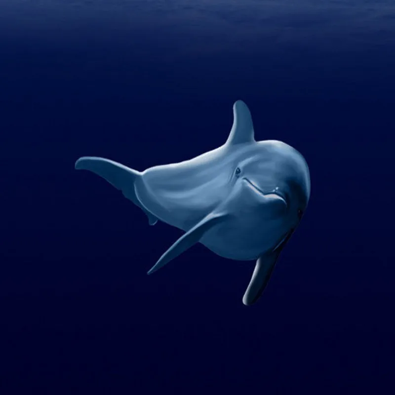 

Free Shipping Creative Sea Dolphin Lightning Horror 3D Stereo Floor Background Wall bedroom living room bathroom flooring mural