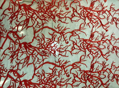 Новинка 2018 Африканское кружево 100% хлопок французская сетчатая кружевная ткань с