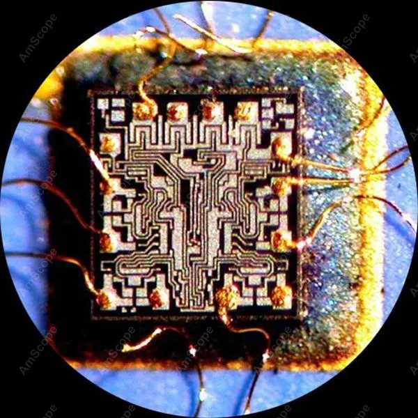 

Zoom Stereo Microscope--AmScope Supplies 8X-80X Common Main Objective (CMO) Zoom Stereo Microscope + 5MP Camera