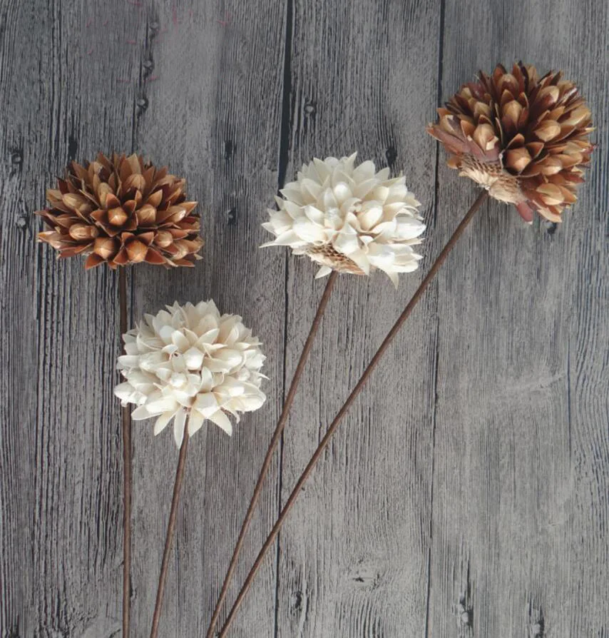 5 шт. натуральный сушеный белый/коричневый цветок магнолии с железной проволокой