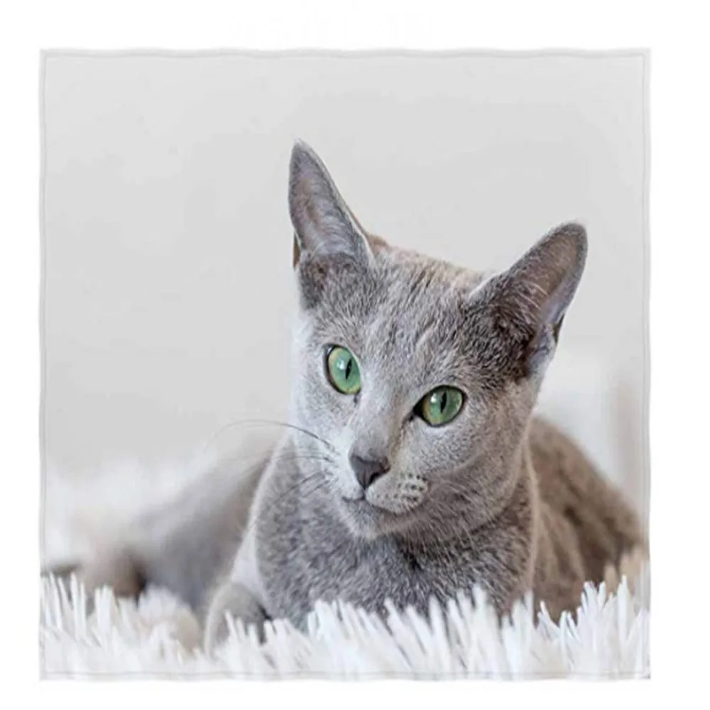 Россия кошка узор супер мягкое покрывало на кровать диван легкий путешествия