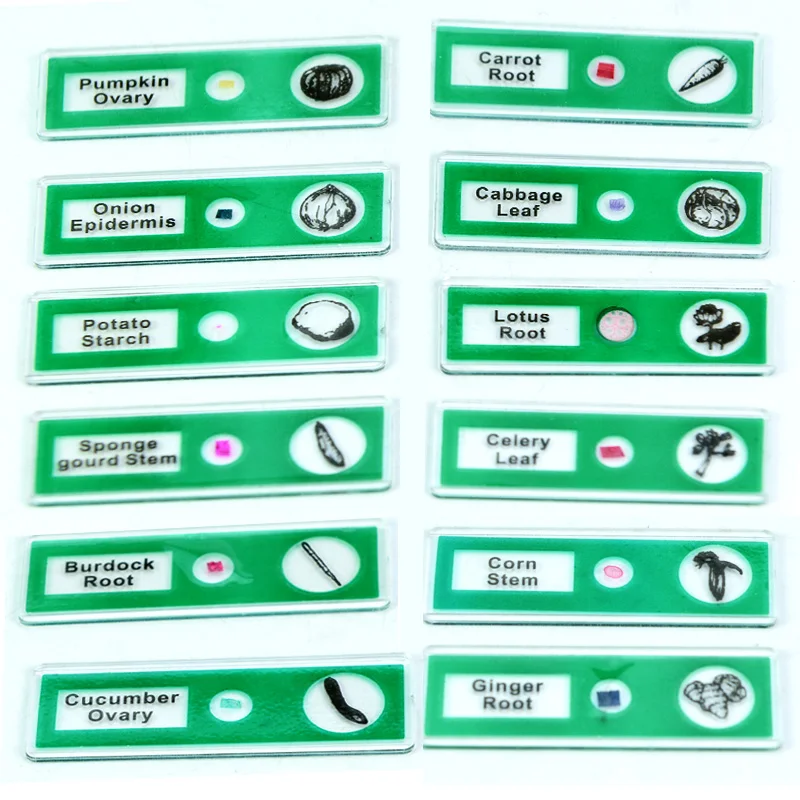 48 образцов растений и животных пластиковые слайды|prepared slides|slides microscopemicroscope prepared