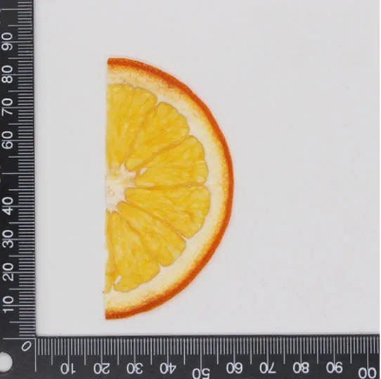 Half Orange 10 шт прессованный высушенный фруктовый ломтик гербарий из растений для ювелирных изделий открытка с пригласительным билетом чехол для телефона Закладка рукоделие Изготовление DIY - Цвет: Half Orange