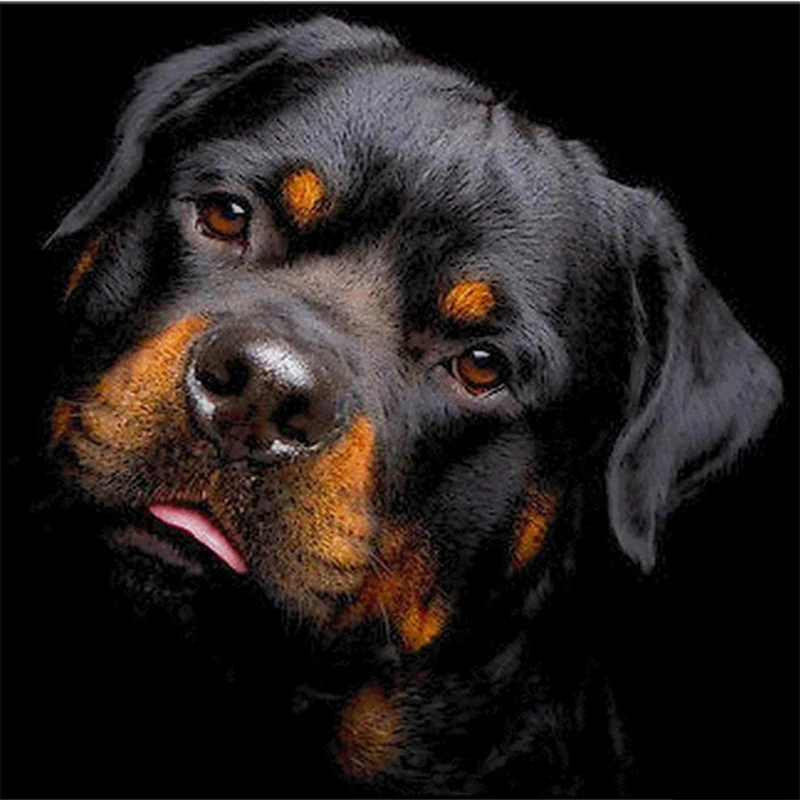

Full drill 5D Black dog DIY Diamond Painting "Animal dog" Embroidery Diamond Cross Stitch Rhinestone Mosaic Painting Home Decor