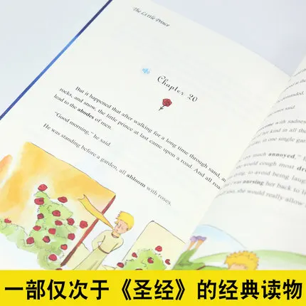 Книга Xiao Wang zi Мировая классика английская Фантастическая книга| |