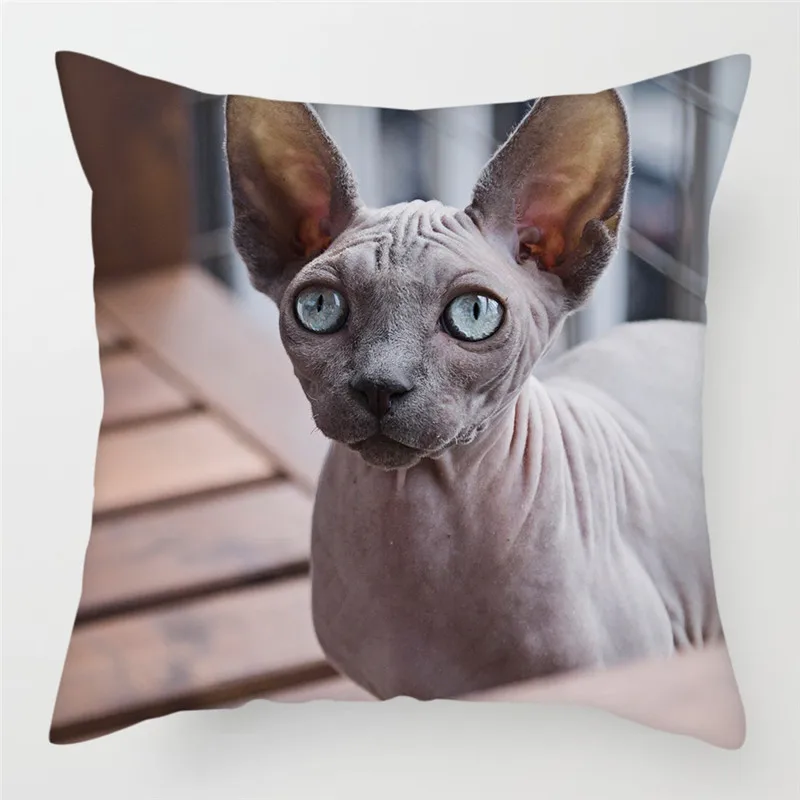 PC07377 Fuwatacchi милый чехол для подушки с кошкой размером 45*45 см канадский голая Наволочки домашние декоративные подушки для дивана, подушка для дома, стула, бросьте, наволочки для подушек - Цвет: PC07377