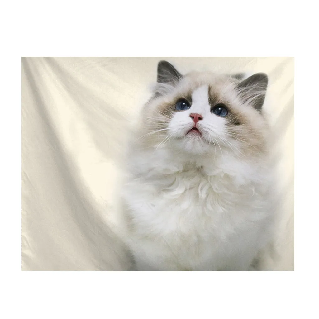 Гобелен Ragdoll с принтом кошки настенный гобелен для домашнего декора 100x150 см L703