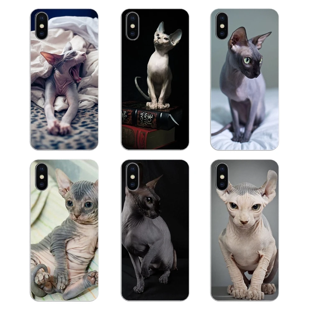 Силиконовый чехол для телефона Friendliest sphynx cat kitty Poster Huawei P20 Lite Nova 2i 3i 3 GR3 Y6 Pro Y7 Y8 Y9 Prime