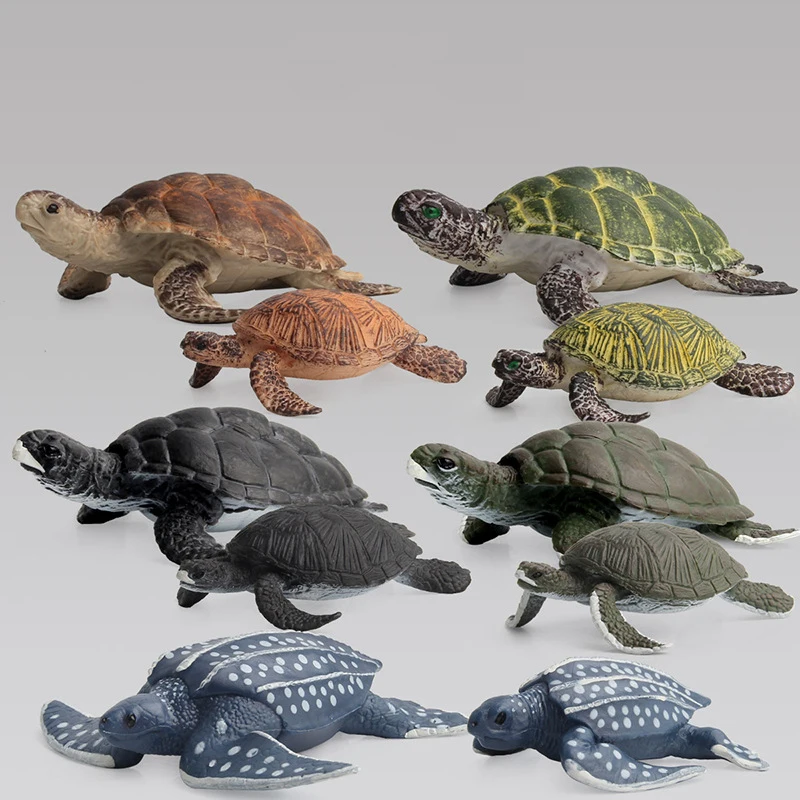 Simulation Animal Model Toy Turtle Figurine Decoration Collection Student Gift Learning Nature |