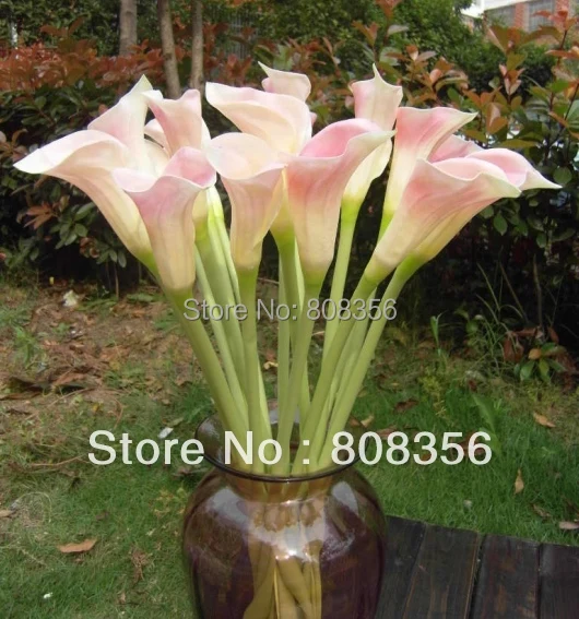20 шт. настоящие натуральные цветы из искусственной кожи Calla Lily Alocasia Callas 23 62 &quotдля
