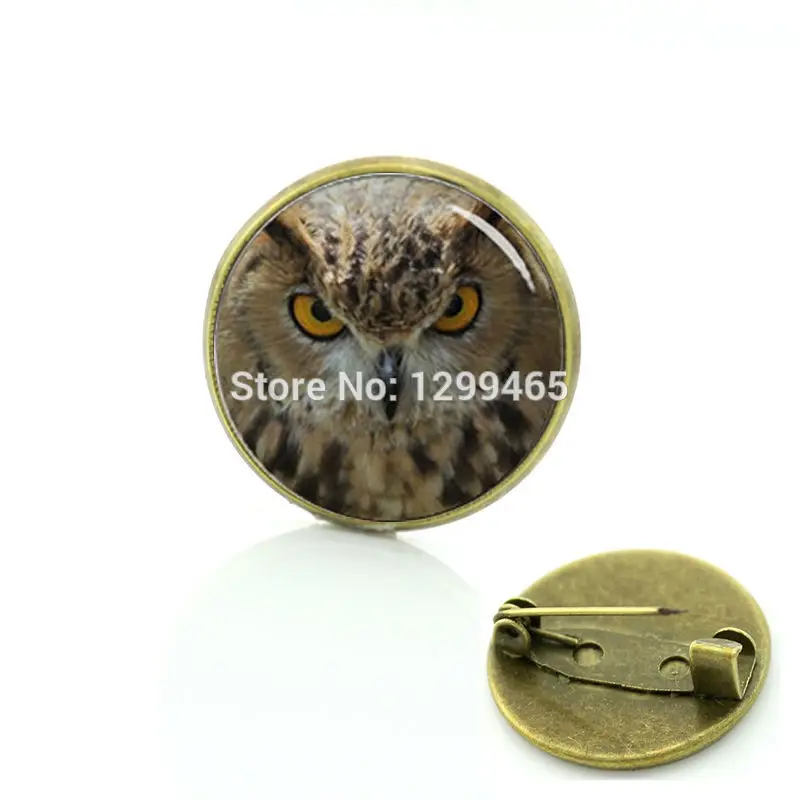 2017 настоящий Брош простой дизайн значок с животным платье аксессуары сова фото