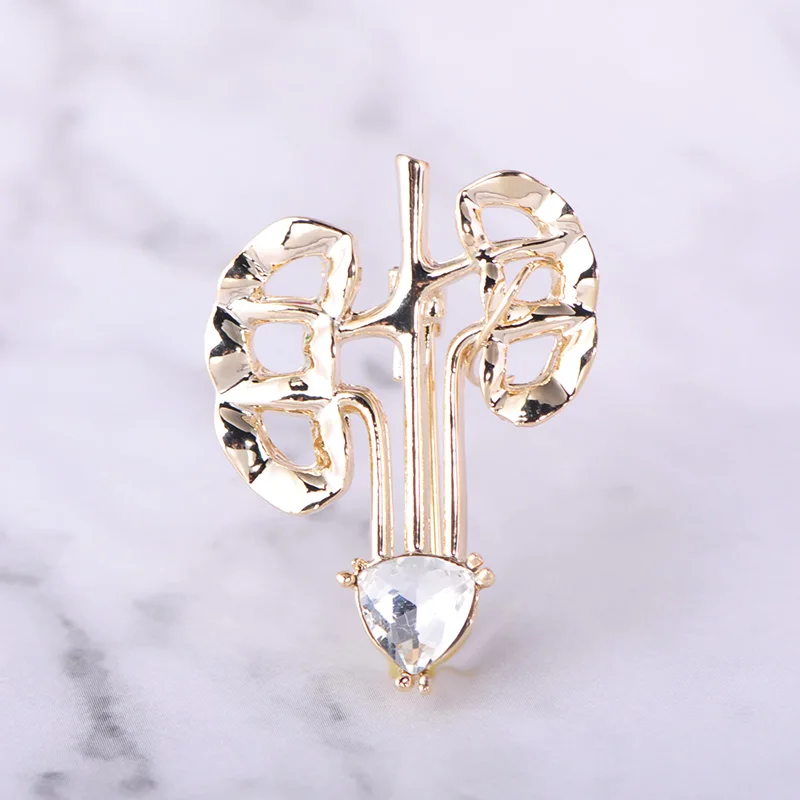 Брошь Funmor Мужская эмалированная в виде органа и легких изящная брошь с