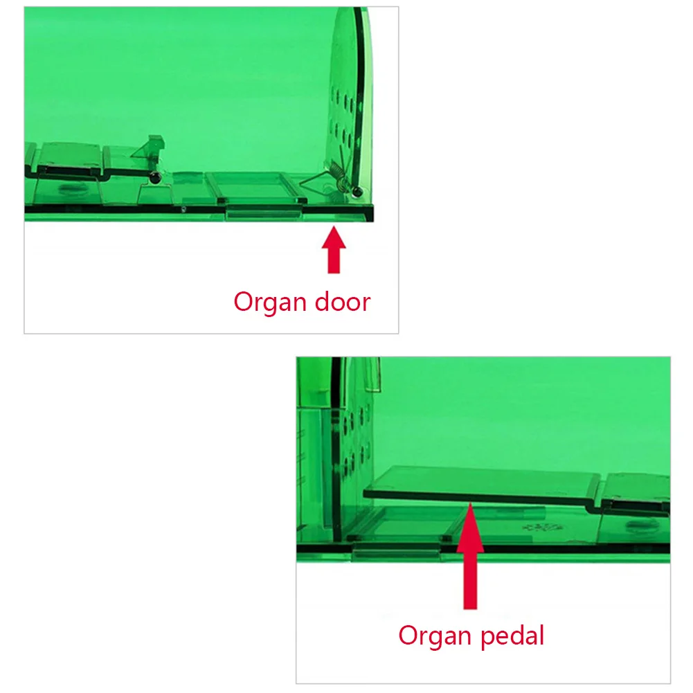 2 шт. экологически чистые Ловушки для мышей и других мелких грызунов|Ловушки| |