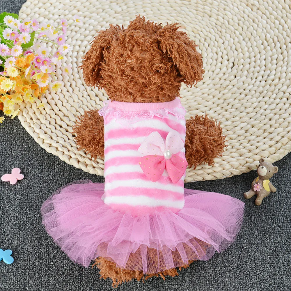 Милая прекрасная комнатная собачка кружевной шарф воротник регулируемые