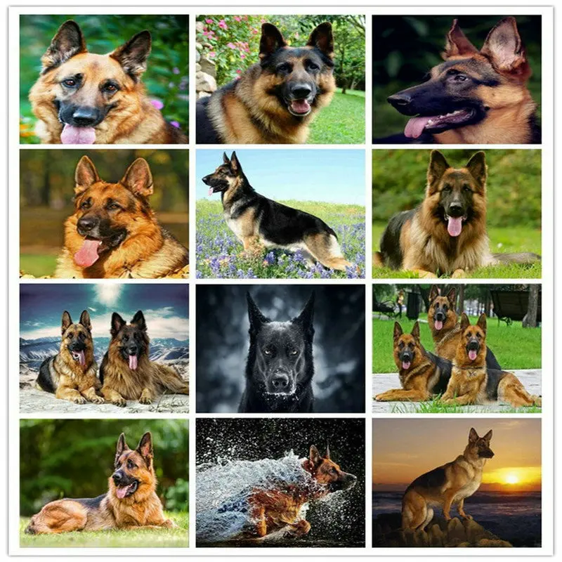 5d алмазная живопись немецкая овчарка камни в форме ромба Дрель Алмазный вышитый