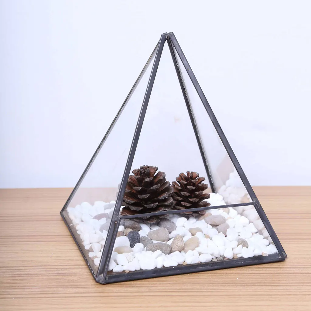 Стекло мох для террариума миниатюрный Парниковый Сад нерегулярные Форма ящик