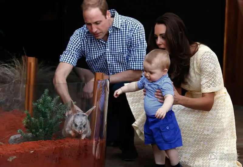 Кружевное платье с подсолнечником Kate Middleton модные плиссированные платья
