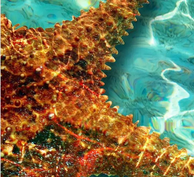 3d обои с рисунком пола волнистые морские звезды пол для ванной гостиной 3D ПВХ