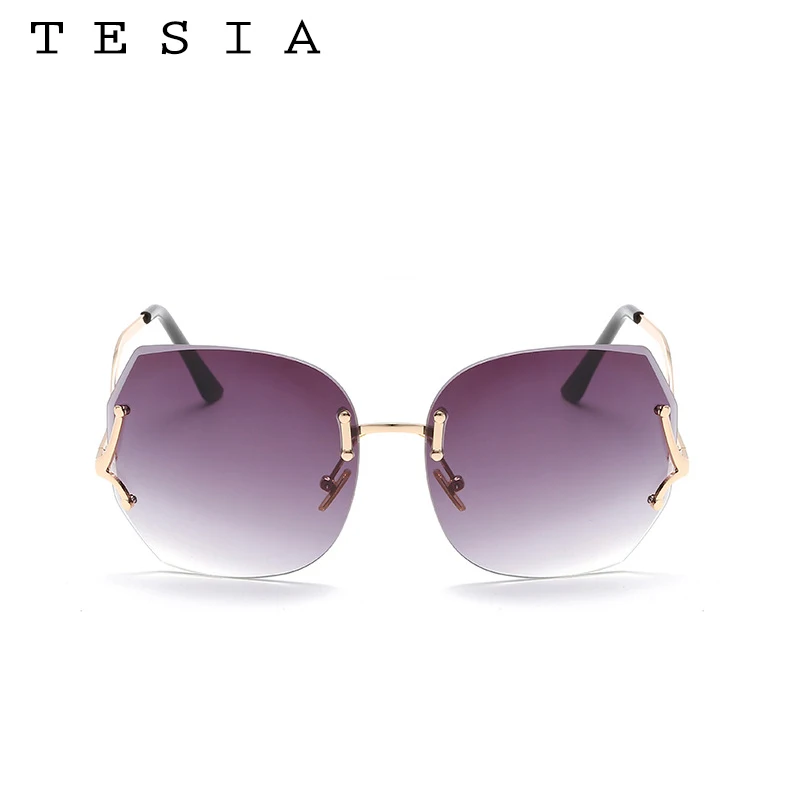 

TESIA Oversize Sunglasses For Women Famous Women BrandSunglasses Fashion Summer Style Mental Frame Goggle Unisex Sunglasses 3014