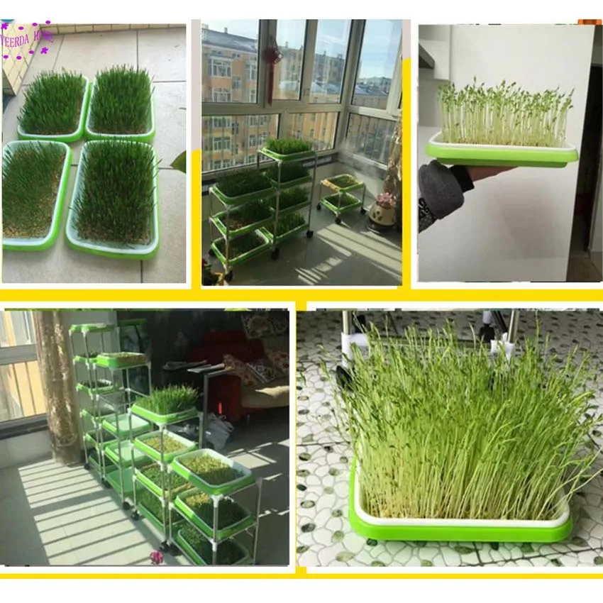 1 компл. Садовый горшок поддержка Soilless культивирование Поддержка Полка рассады росток гидропоники бобов Овощной поднос кронштейн