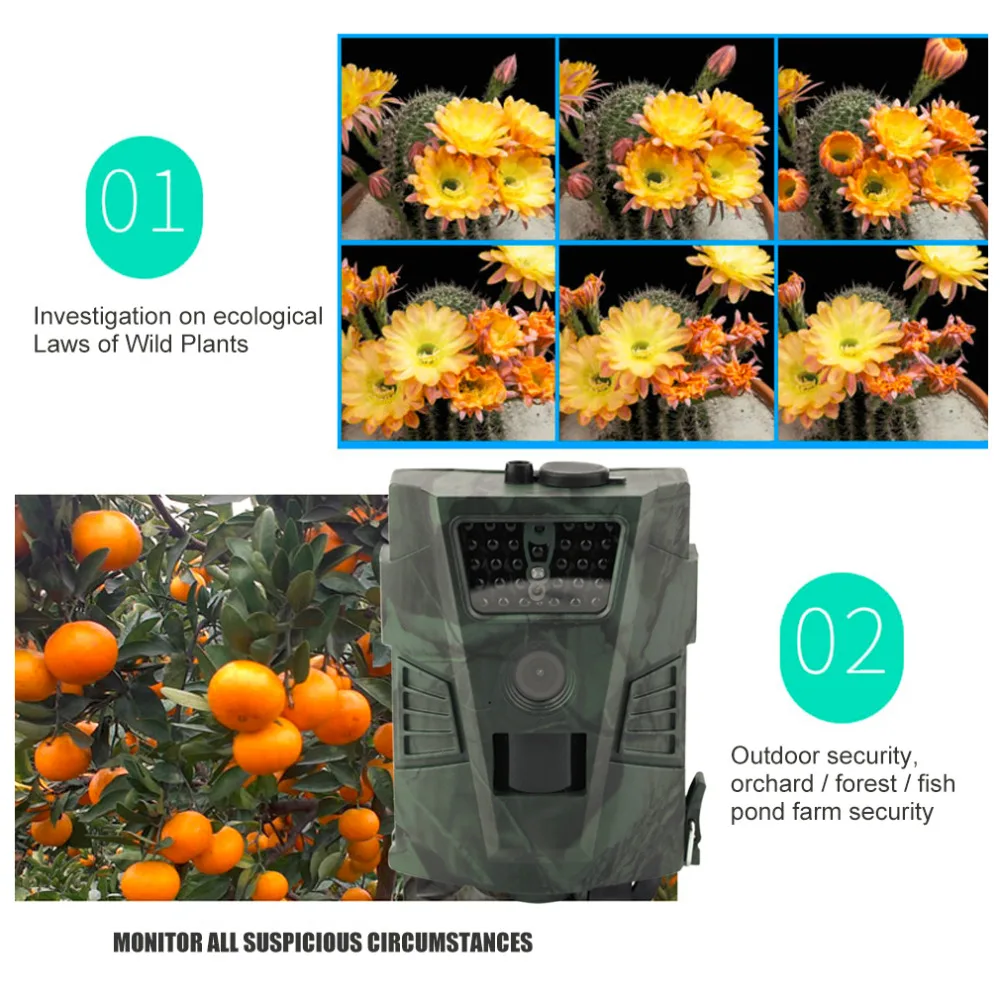 Trail Camera Охотничья видеокамера 1080 P Дикая камера наблюдения наружные фото ловушки