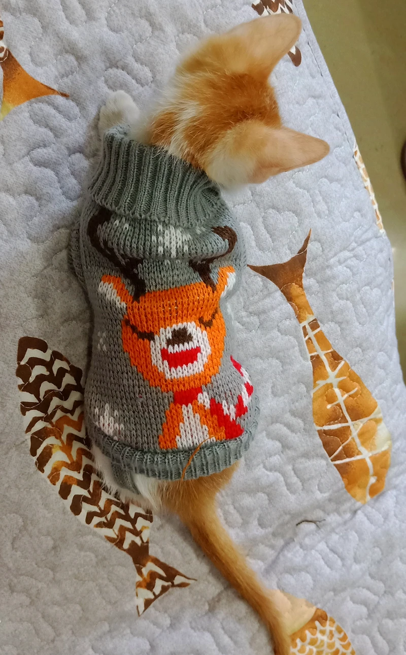 [MPK cat hoodies] свитер SWA Cat, свитер для кошек и маленьких собак, одежда для кошек, 12 цветов на выбор+ 6 размеров для каждого цвета