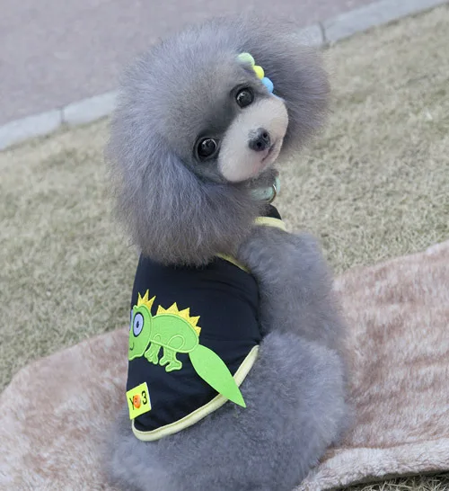 Костюмы и рубашки для щенков Одежда собак худи пальто Забавный костюм летняя