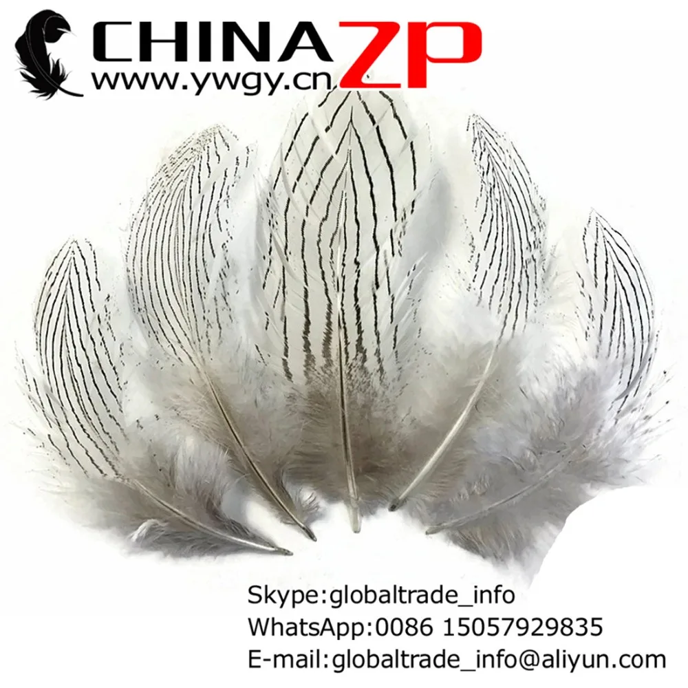 

Gold Maunfacturer CHINAZP Factory 100pcs/lot 10~15cm(4~6inch) Length Beautiful Natural Silver Pheasant Feathers