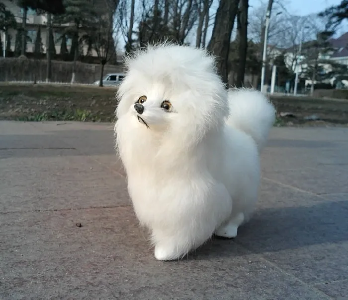 

simulation animal 16x15cm white Toy poodle dog plush emulation dog doll k0189