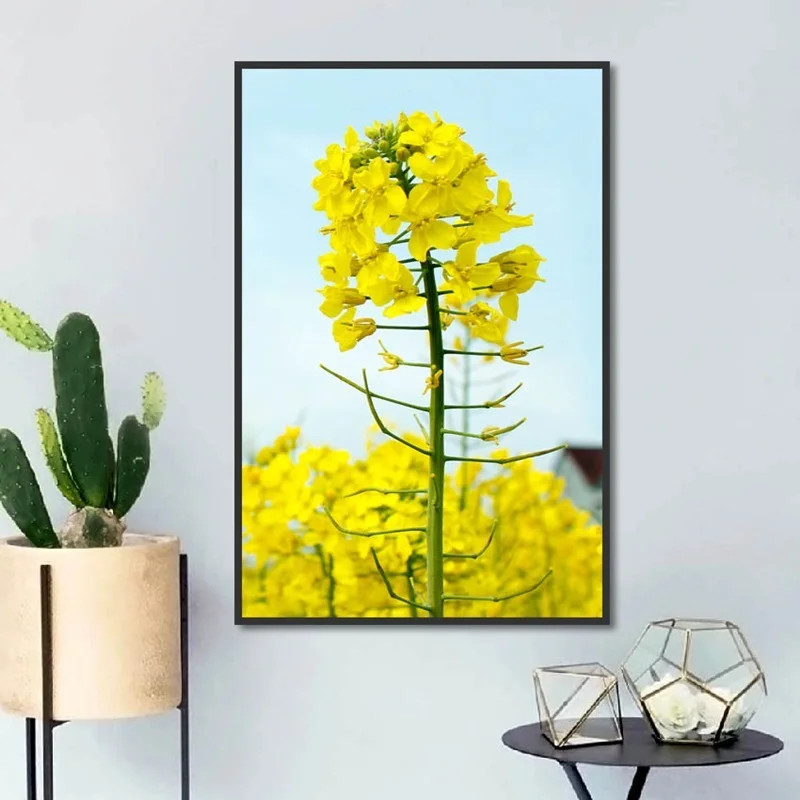 Nordic Small Fresh Rape Flower Living Room Painting Modern Home Decoration Wall Art Pictures Modular Canvas Posters and Prints | Дом и сад