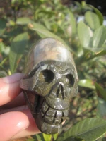 111g natural quartz crystal snail fossil skull healing carving a3