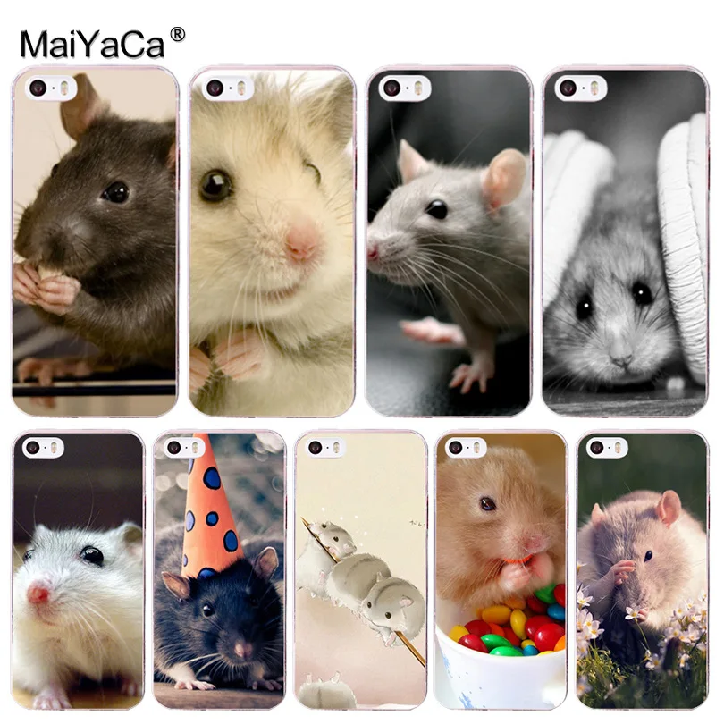 Чехол для мобильного телефона MaiYaCa Rat с принтом крыс iphone SE 2020 11 pro X 66S 7 7plus 8 8Plus 4 5 8plus