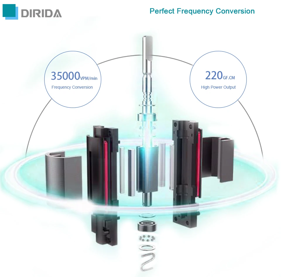 DIRIDA S-100, перезаряжаемая звуковая электрическая зубная щетка для взрослых, водонепроницаемая ультра звуковая зубная щетка, Глубокая чистка зубов с 2 головками