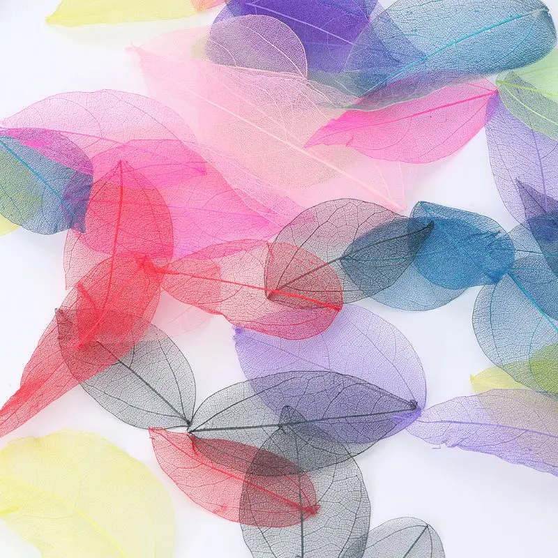 50 шт смешанный цвет натуральный каркас листьев прессованный цветок для